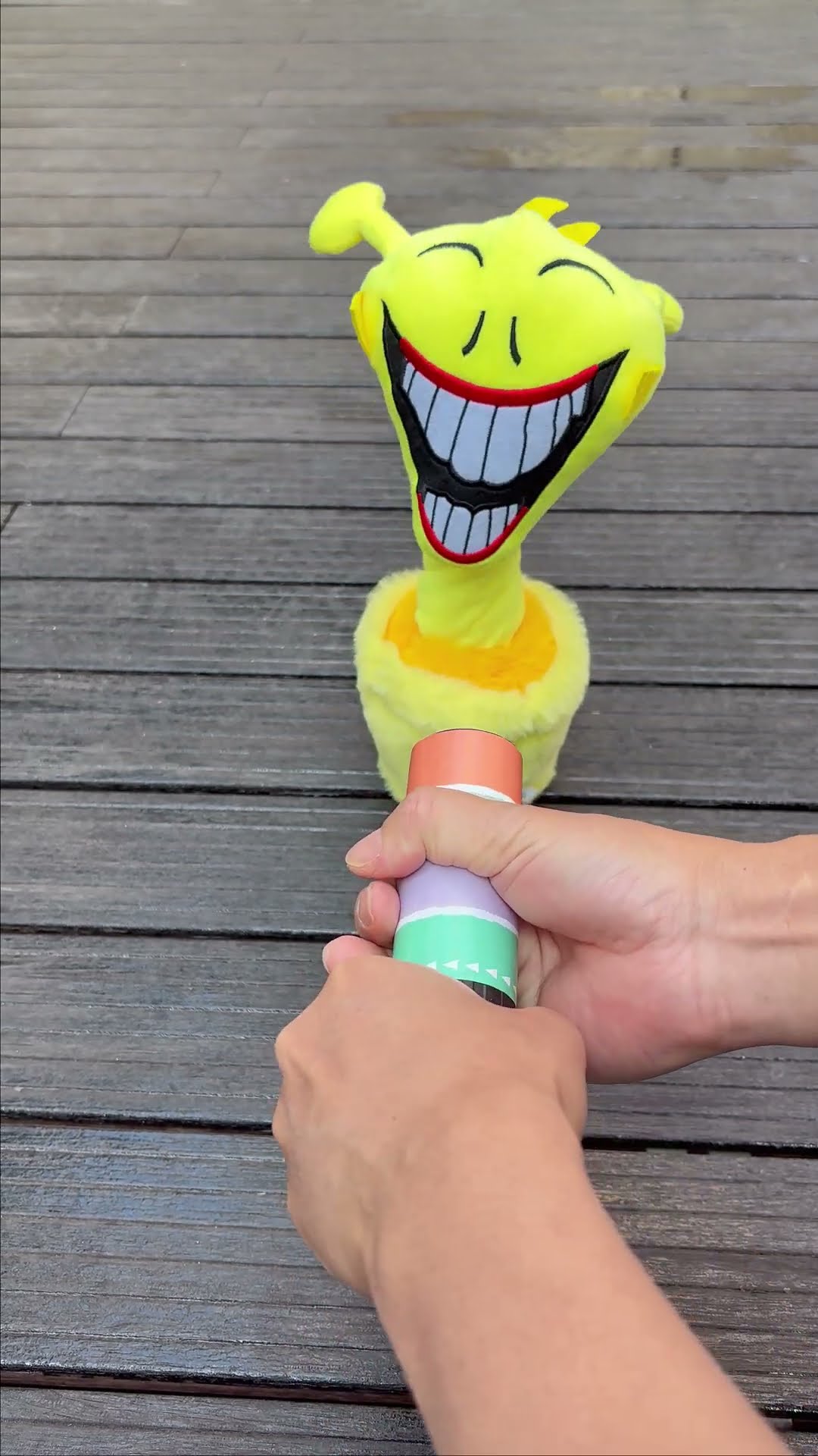 funny simon cactus