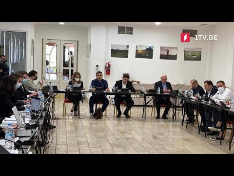 საარჩევნო რეფორმა