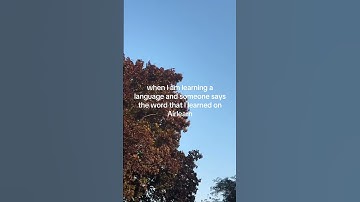 I just get so excited to show my new language out #airlearnambadsador #airlearn