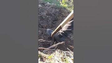 MY FAVORITE TOOL for EASY DIG #trailbuilding #shorts #short #shortvideo @DivineDay @JohnDeere