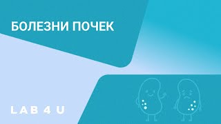 Заболевания почек: признаки, диагностика и лечение