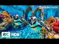 Breathtaking Deep Ocean Creatures In 8K HDR Dolby Vision 