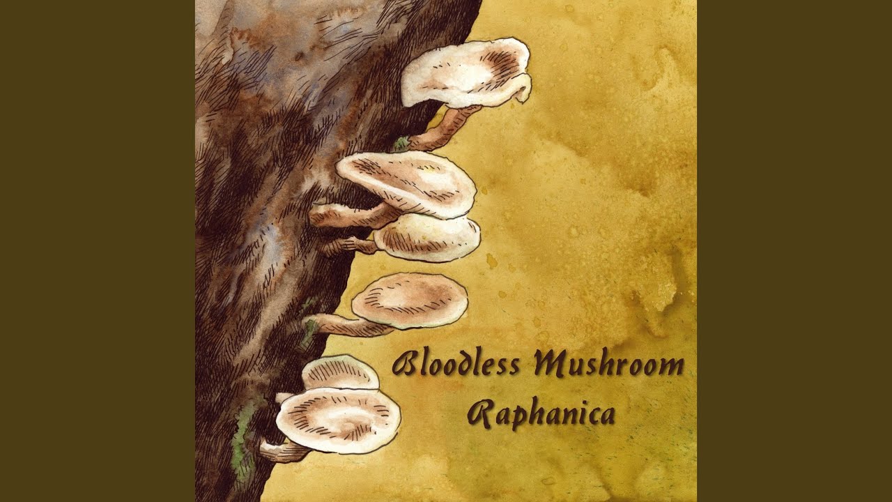 Watch Stumps (Constrictus) on YouTube Watch Stumps (Constrictus) on YouTube