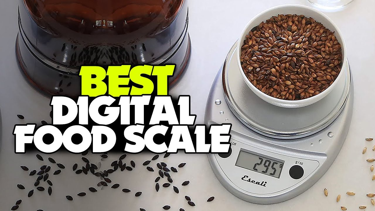 9 Best Food Scales