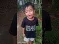 Opan Nemu daun guass