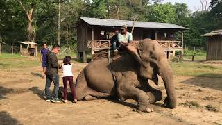 Elephant Ride at Chitwan National park ( Meghauli Chitwan )