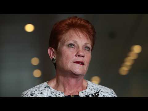 Pauline Hanson’s ‘overnight success’ has taken 30 years