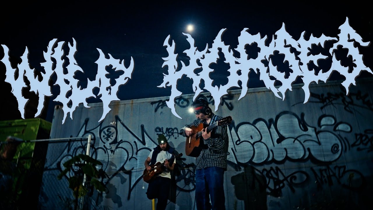 wild horses cover with headlamps