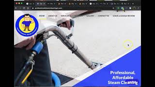 Professional Steam Cleaning AL vs Stanley Steemer