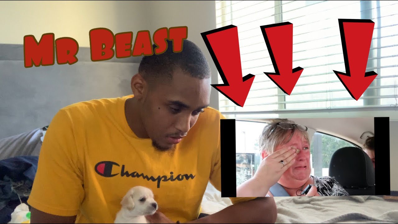 Машины mr beast