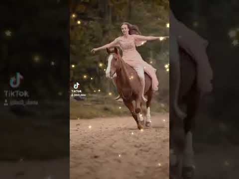 علمني حبك سيدتي كاظم الساهر