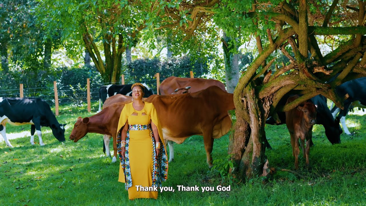 ASHE by JUDY MESOPIR (Official 4k Video)