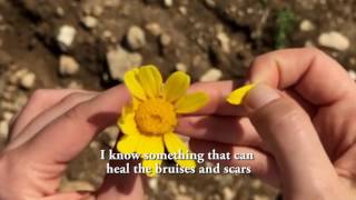 Love Always Wins lyric video