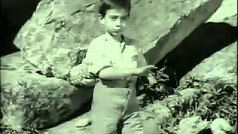 In che anno è stato prodotto il film Marcellino pane e vino?