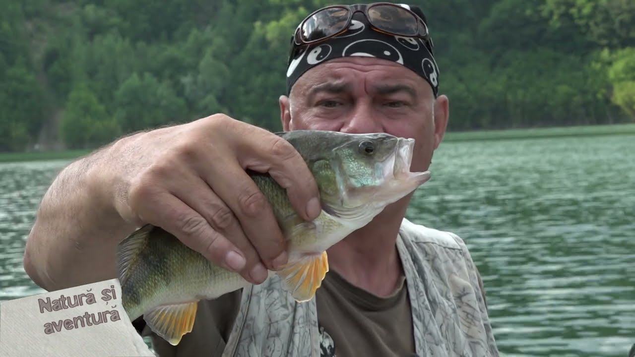 Natura si aventura: La pescuit pe lacul Siriu
