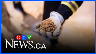 ‘Blood potash’: Sask. premier reacts to Trump potash proposal