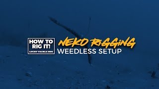 How To: Neko Rigging