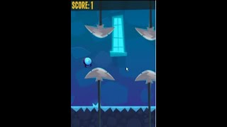 The World Of Bob Evade And Collecting Game Best Score 43