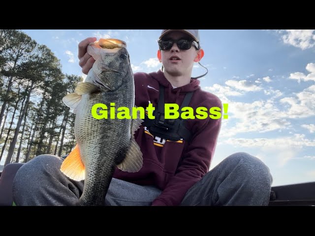 FLYLINING LIVE BAITS FOR CALICO BASS 