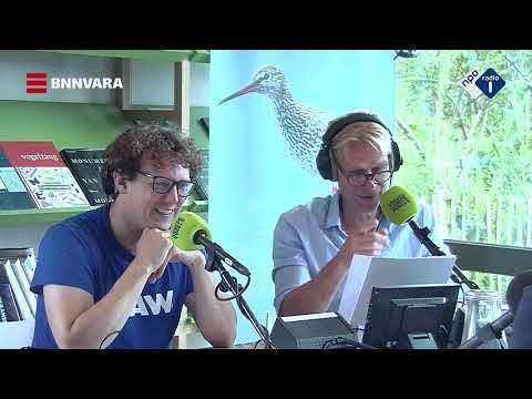 Video: Goedemorgen: Geweldige Geheimen Voor Vroege Vogels