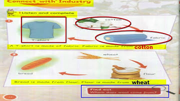 connect plus primary 1 | Term 2 | unit 7 ( Let