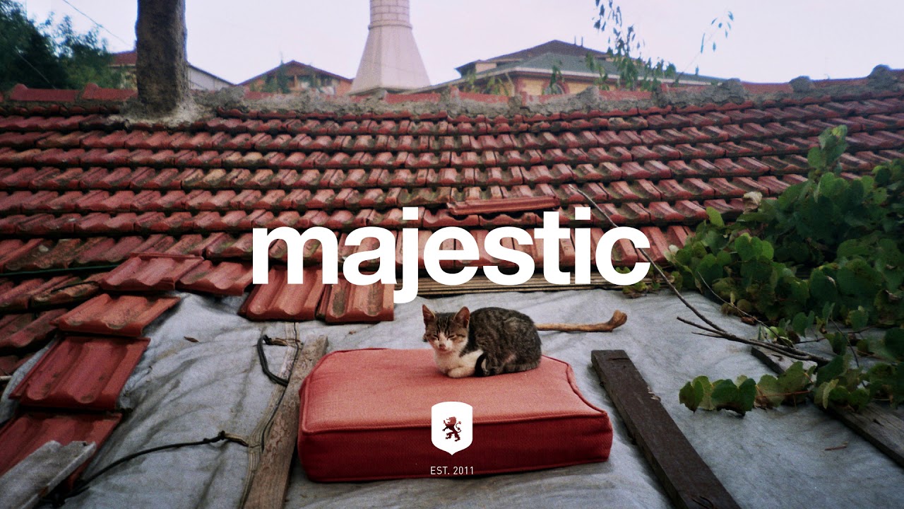 dné - Reality Swallows Pusheen Cats