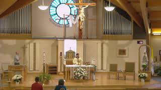 Our Lady of Fatima Seventh Sunday of Easter