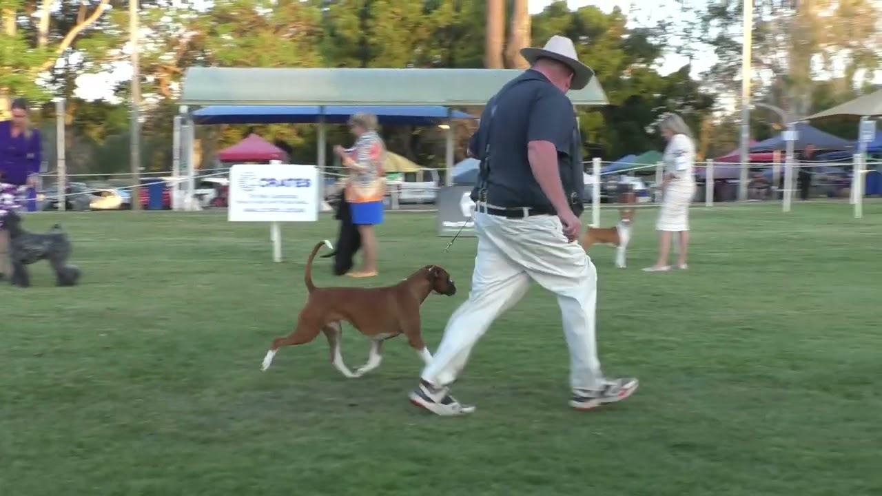 21Oct23 Gold Coast CC Champ Show