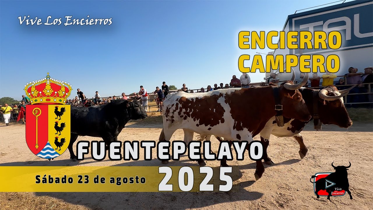 Primer Encierro Campero Fuentepelayo 23.08.25