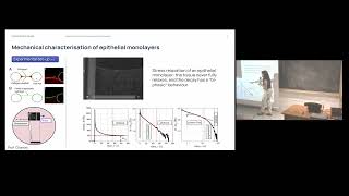 Tutorial on Fractional rhéology - Alessandra Bonfanti