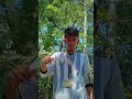 New trend #tiktok #dance #smooth #youtube #youtubeshorts #tiktoktrend #tiktok #trending