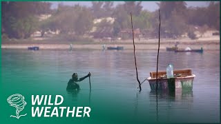 Senegal’s Struggle: Climate Change, Fishing, and the Fight for Survival