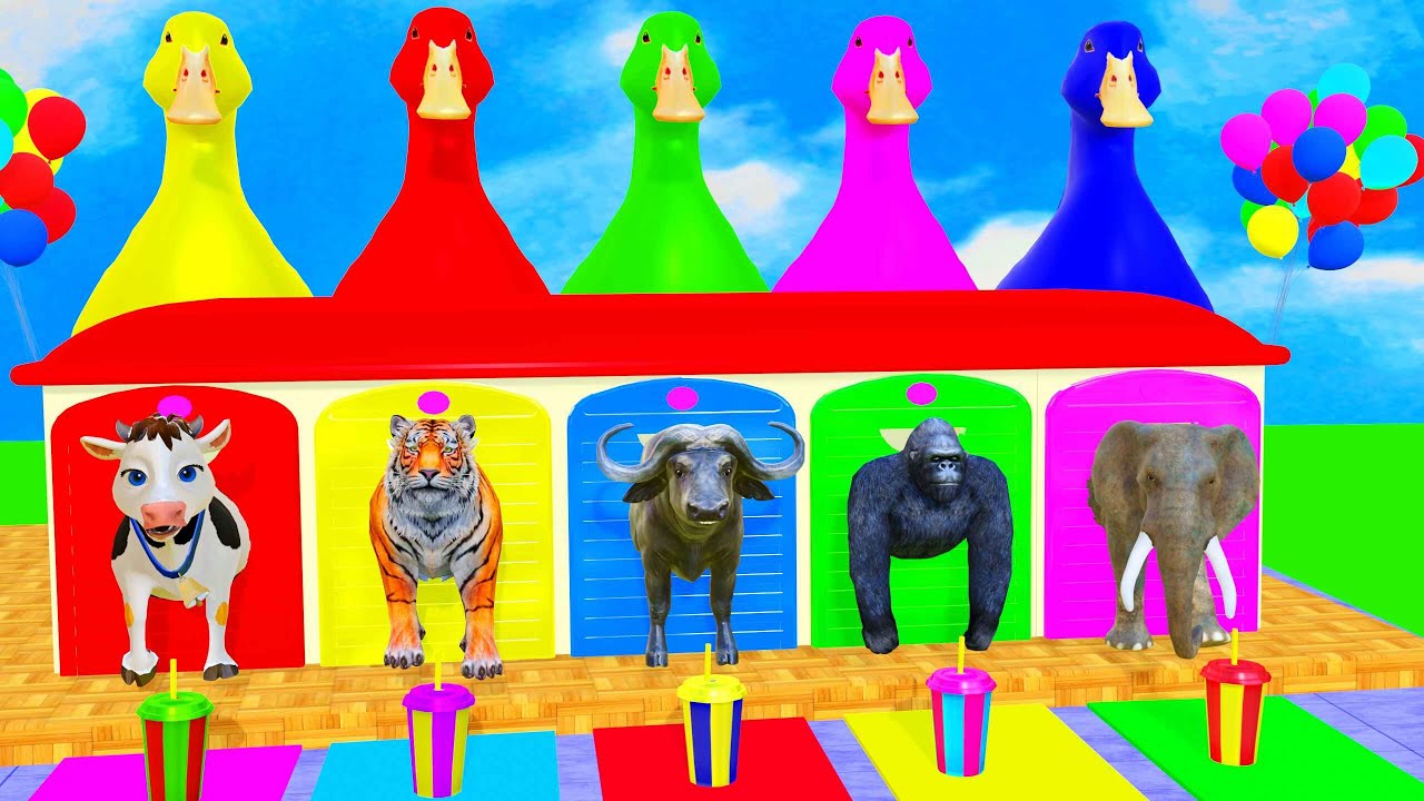 Long Slide Game With Cow Elephant Gorilla Hippopotamus Tiger 3d Animal Game Funny 3d Animals