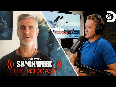 What is the Status of Sharks in our Oceans? – Shawn Heinrichs | Shark Week: The Podcast