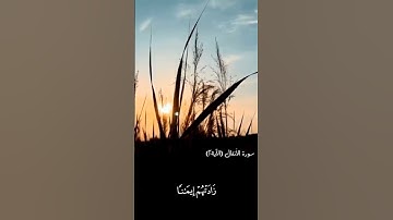 آياتٌ مختارةٌ مِنَ الذكرِ الحكيم سورة الأنفال(الآية ٢)#أهل_القرآن_الأبرار