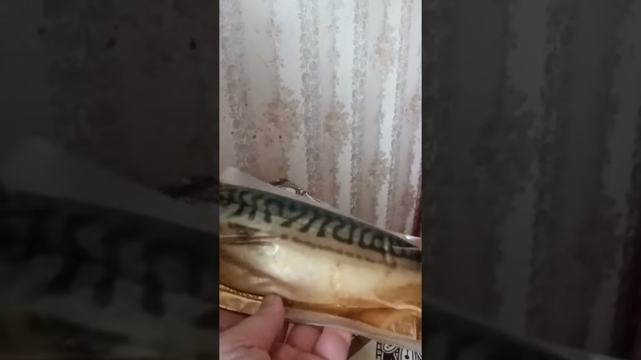 Почему такого нет в Сербии? 