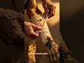 Kazılar ve Mumyalar #keşfet #tarih #america #shortvideo #osmanlı #new #bilgi #film #belgesel