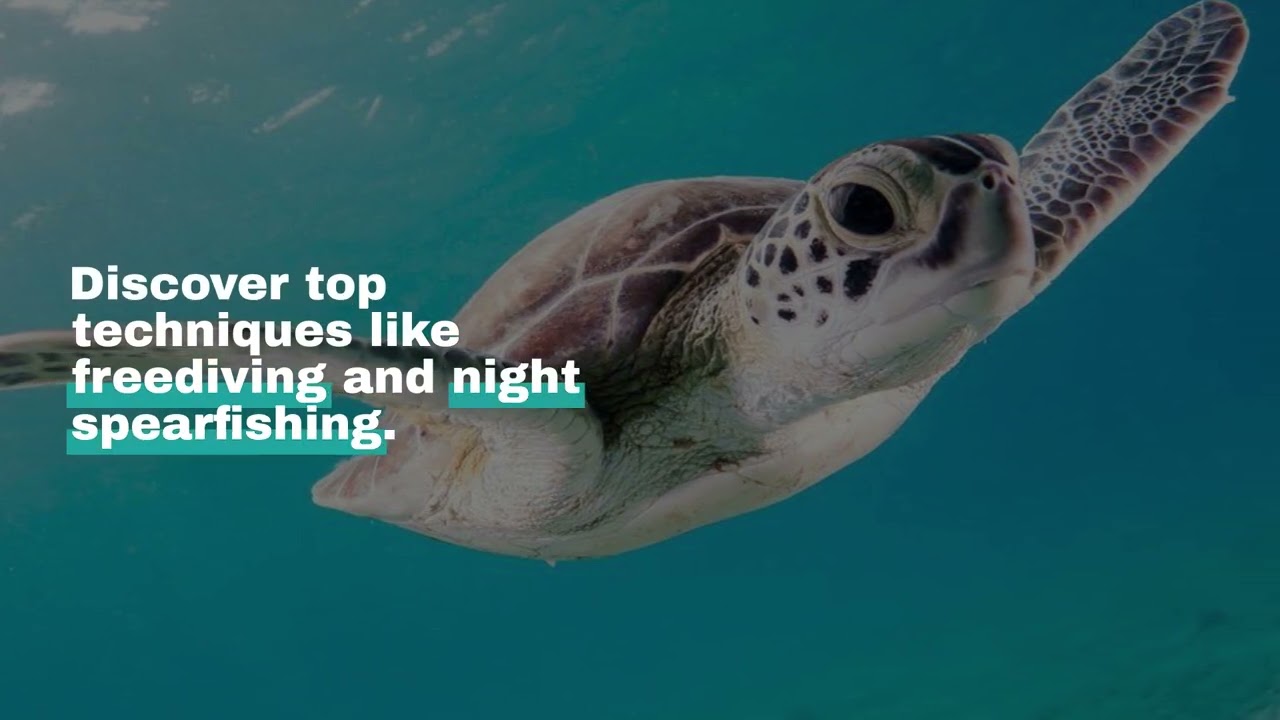 Spearfishing in French Polynesia: Techniques and Hotspots for the Ultimate Catch