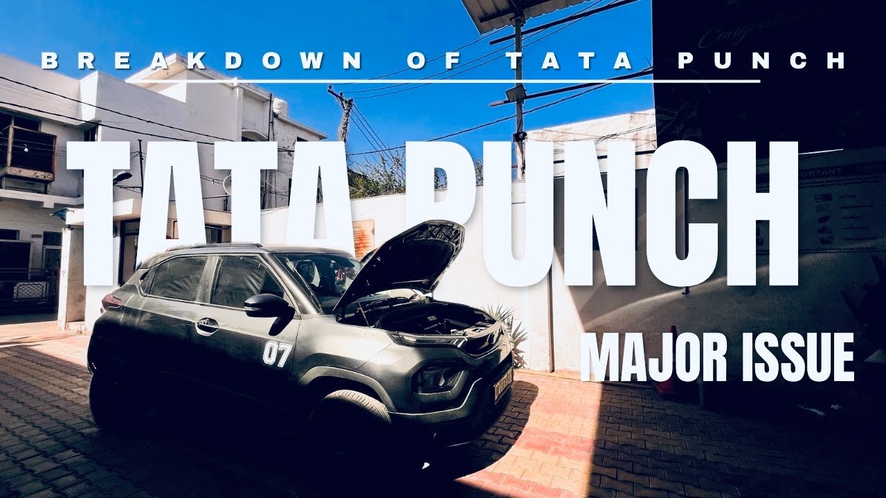Tata Punch Sunroof Reality | Service Center Experience | Vlog 