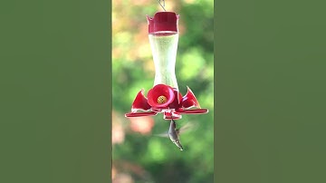 #ماشاءالله #قرآن #سورة_الشرح ♥️🕊🎧 #اللهم_صل_وسلم_على_نبينا_محمد #اللهم #fy #اكسبلور #راحة_نفسية