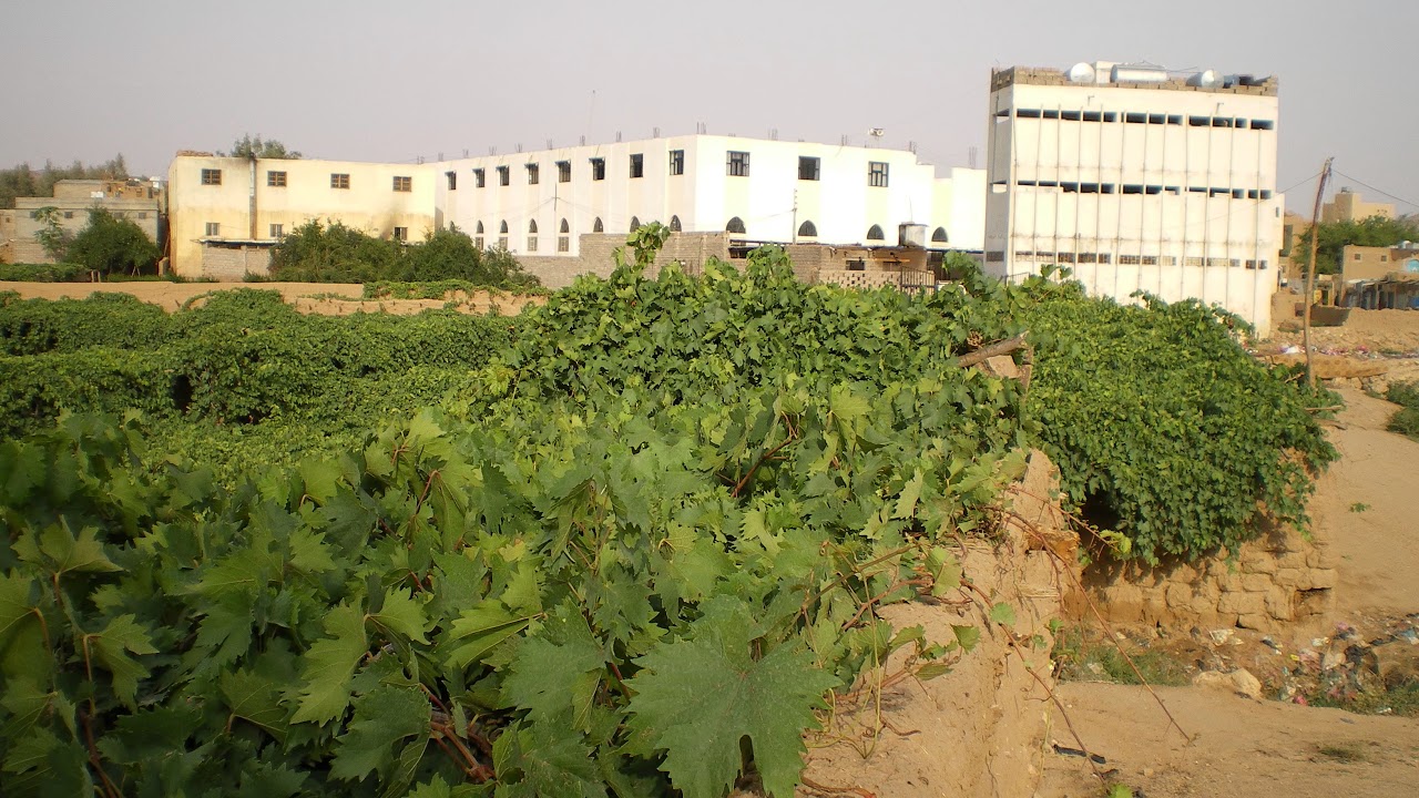 Surah Ta Ha | Suleiman al-Maali | سورة طه