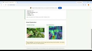 CropGuard AI   Grape Leaf Screening   Google Chrome 2026 09 23 13 28 43