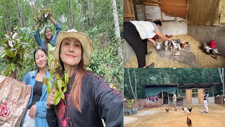 A Day in the Village | Local Chicken Farming, Foraging jungle Veggies with sisters 👯‍♀️