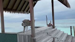 Four Seasons Maldives Private Island at Voavah