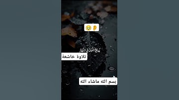 #القرآن_الكريم #تلاوة_خاشعة #اللهم_صل_وسلم_على_نبينا_محمد #المصحف #لاحول_ولاقوة_الابالله