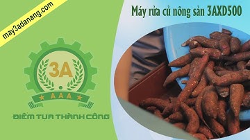 Máy rửa củ quả nông sản 3AXD500 - Cách nhanh nhất để làm sạch củ nghệ, củ gừng với khối lượng lớn