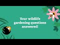 Your wildlife gardening questions answered!