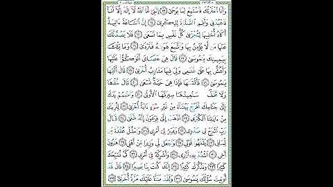 سورة طه الصفحة ٣١٣
