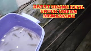 Mencari udang untuk umpan memancing