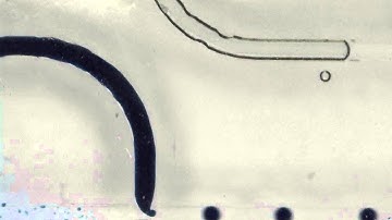 Droplets generation in a T-shape microfluidic chip (small size)